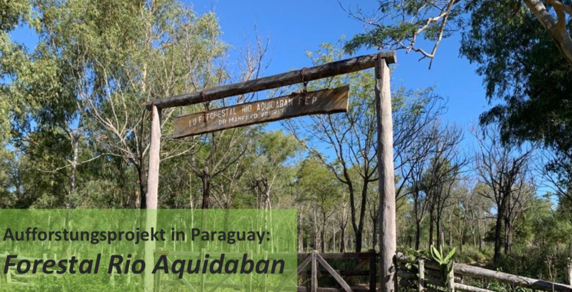 Unser neues Aufforstungsprojekt in Paraguay: Forestal Rio Aquidaban